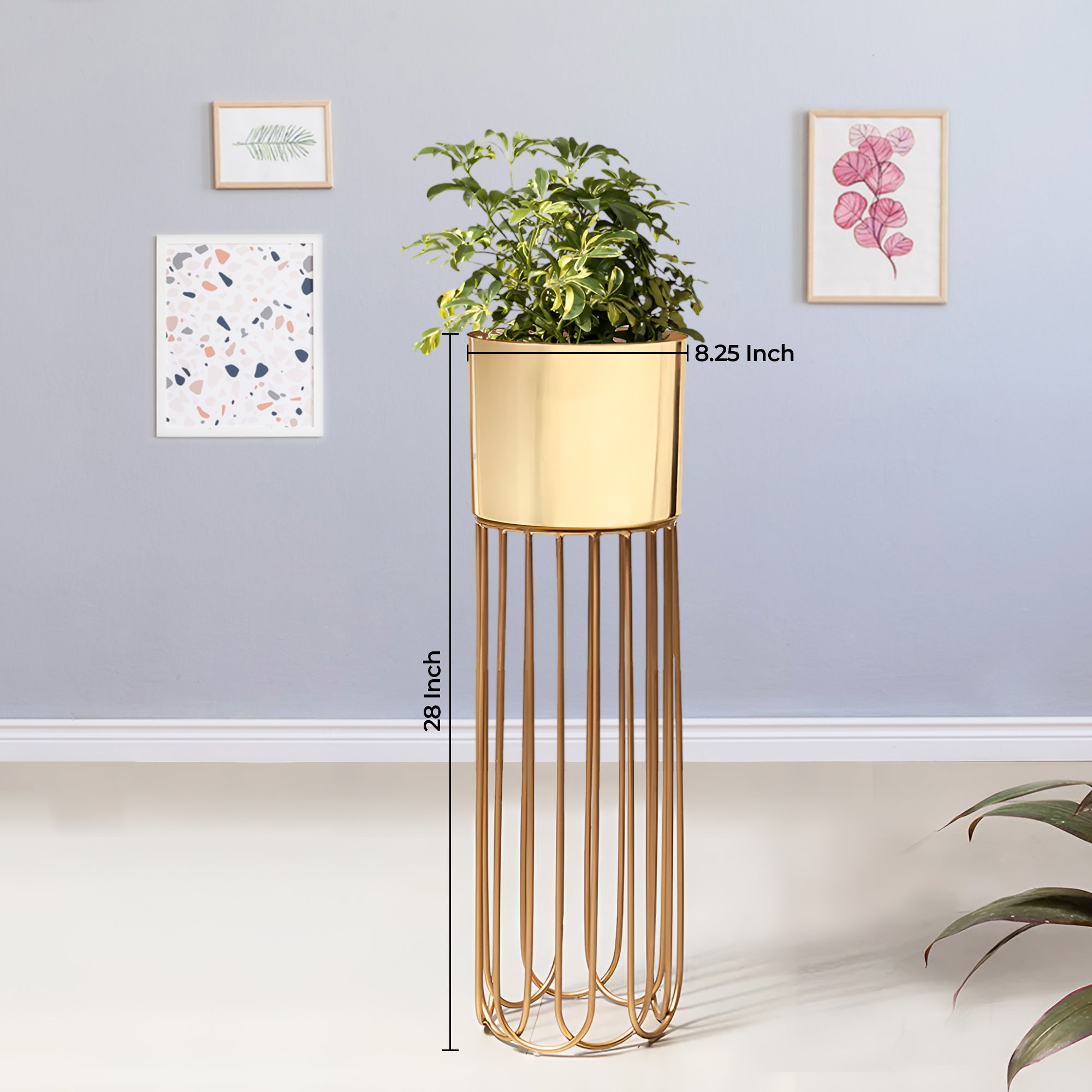 Artisan Arboretum Golden Finish - Medium Size Planter