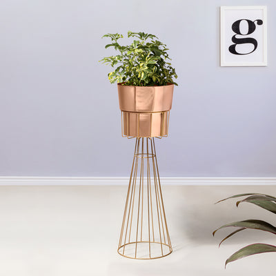 Avant Garden Gold Stand & Ross Gold Pot - Large Size Planter