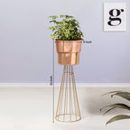 Avant Garden Gold Stand & Ross Gold Pot - Large Size Planter