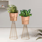 Avant Garden Gold Stand & Ross Gold Pot Planters Set of 2