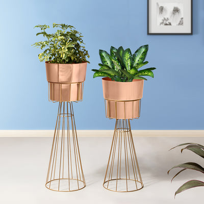 Avant Garden Gold Stand & Ross Gold Pot Planters Set of 2