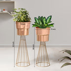 Avant Garden Gold Stand & Ross Gold Pot Planters Set of 2