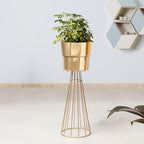 Avant Garden Golden Finish - Large Size Planter