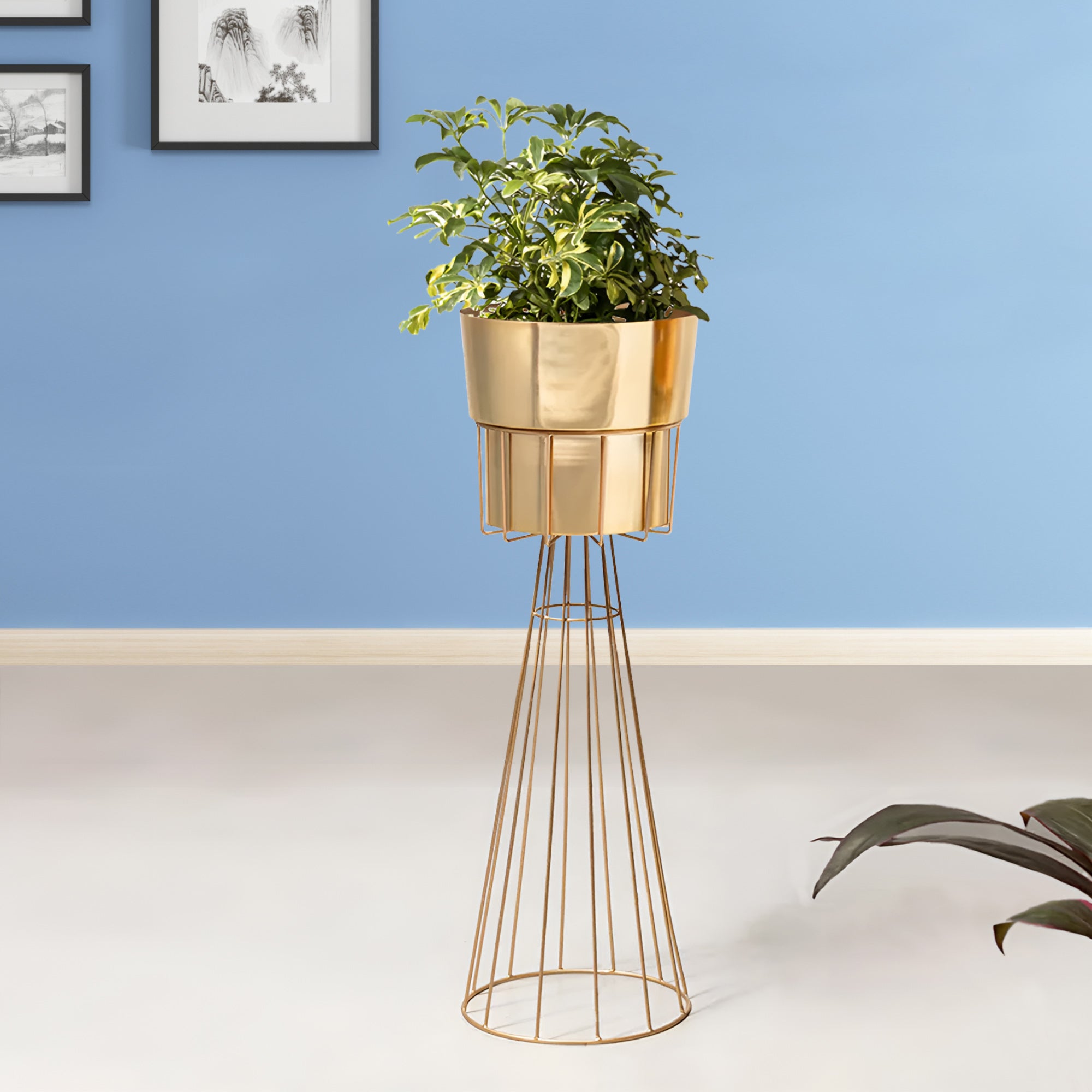 Avant Garden Golden Finish - Large Size Planter