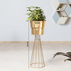 Avant Garden Golden Finish - Large Size Planter