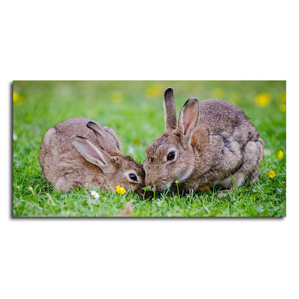 Baby Bunnies in Garden Canvas Wall Painting