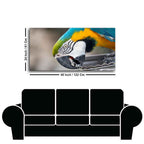 Beautiful Macaw Parrot Canvas Wall Painting