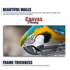 Beautiful Macaw Parrot Canvas Wall Painting
