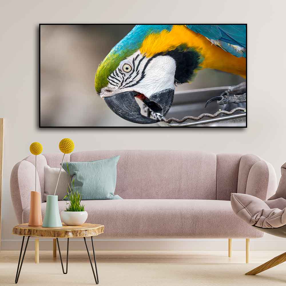 Beautiful Macaw Parrot Canvas Wall Painting