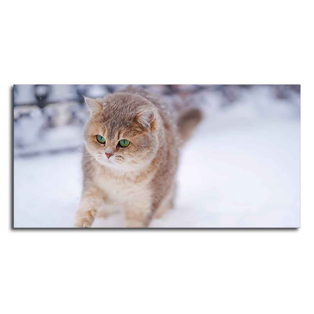 Beautiful Wall Painting of Cat Walking in Snow