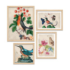 Birds & Floral Wall Frame Set of Four