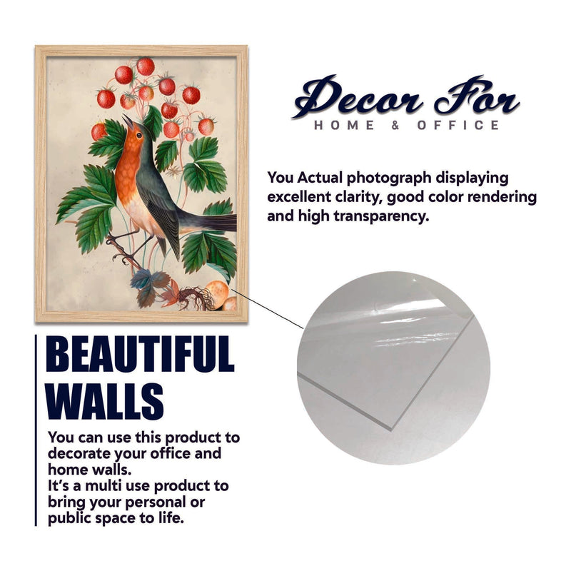 Birds & Floral Wall Frame Set of Four
