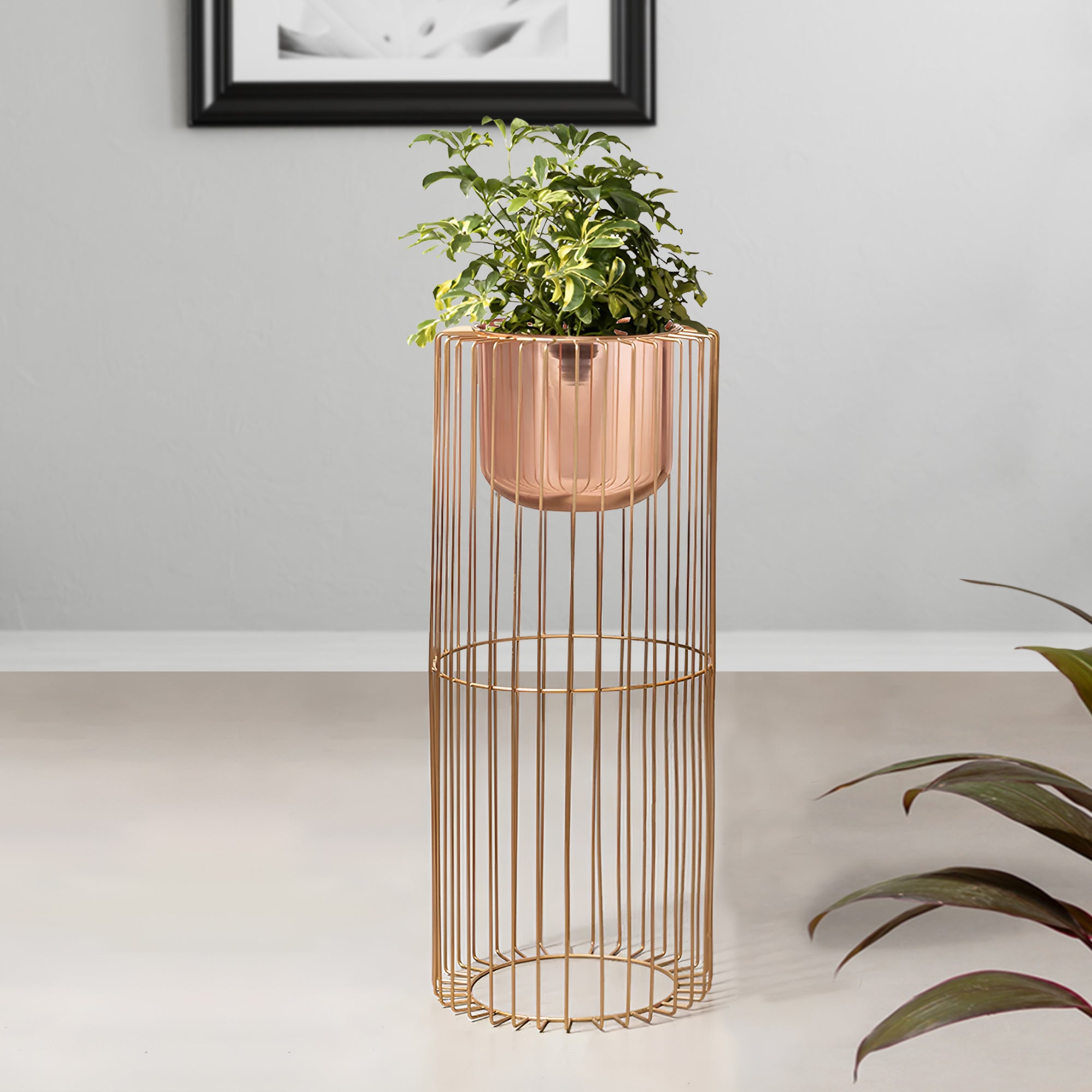 Botanic Couture Gold Stand & Ross Gold Pot - Large Size Planter