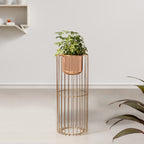 Botanic Couture Gold Stand & Ross Gold Pot - Medium Size Planter