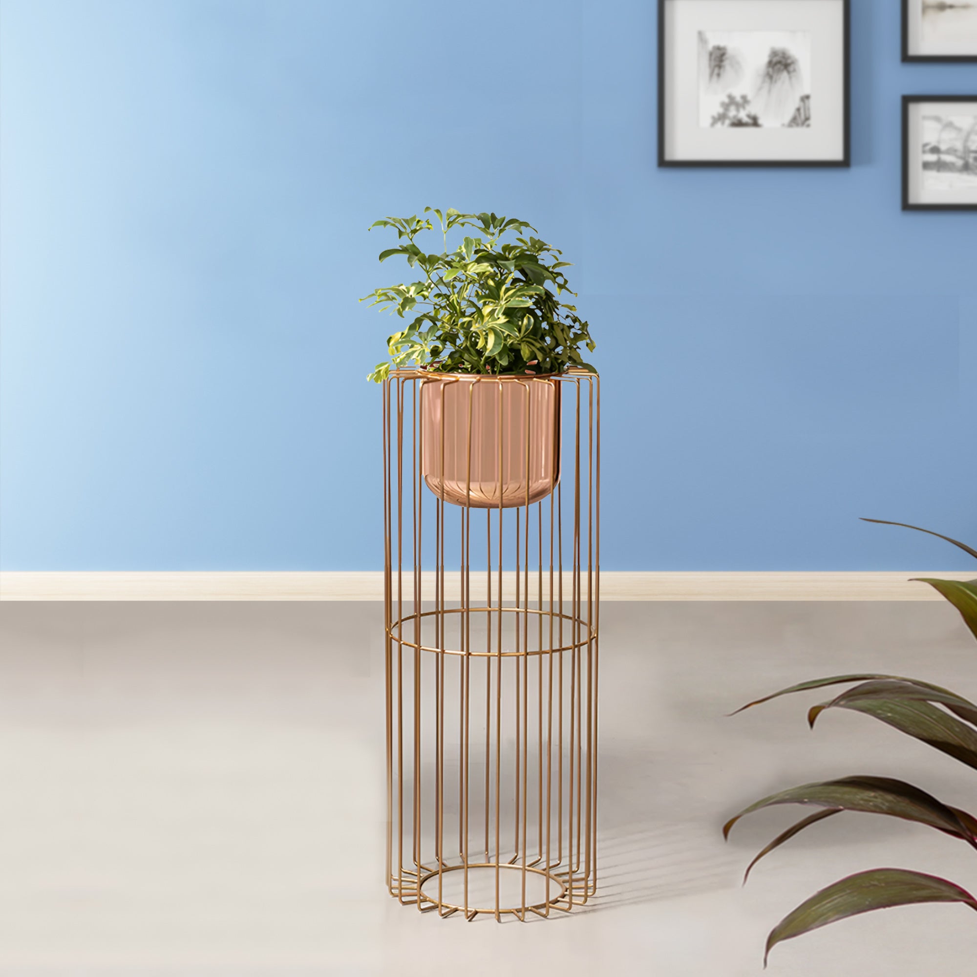 Botanic Couture Gold Stand & Ross Gold Pot - Medium Size Planter