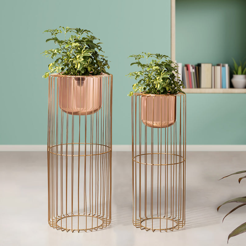 Botanic Couture Gold Stand & Ross Gold Pot Planters Set of 2
