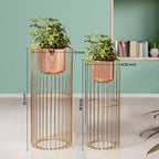 Botanic Couture Gold Stand & Ross Gold Pot Planters Set of 2