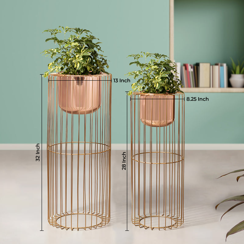Botanic Couture Gold Stand & Ross Gold Pot Planters Set of 2