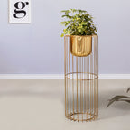 Botanic Couture Golden Finish - Large Size Planter