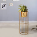 Botanic Couture Golden Finish - Medium Size Planter