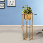Botanic Couture Golden Finish - Medium Size Planter