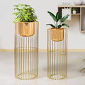 Botanic Couture Golden Finish Planters Set of 2