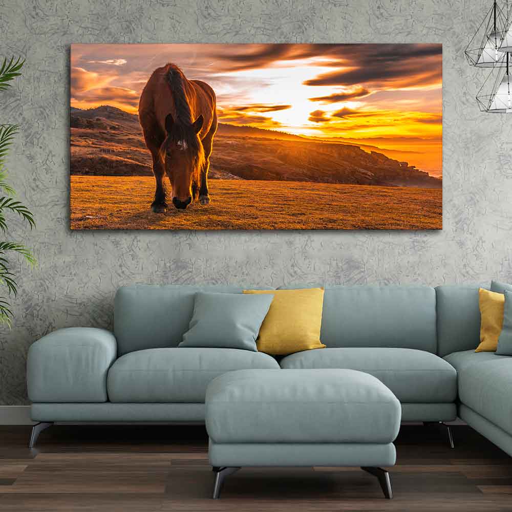 Brown Horse Eating At Sunset Premium Wall Painting