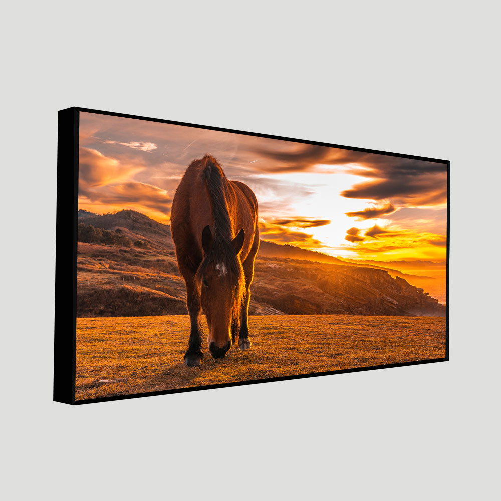 Brown Horse Eating At Sunset Premium Wall Painting