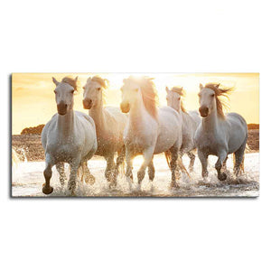 Camargue White Horses Running in Seaside Premium Wall Painting