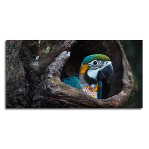 Canvas Wall Painting of Mascaw Parrot in Tree Hole