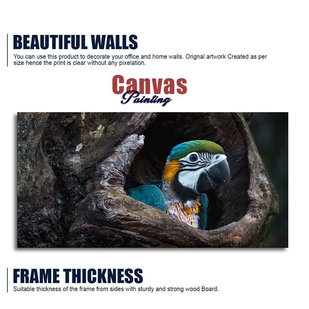 Canvas Wall Painting of Mascaw Parrot in Tree Hole