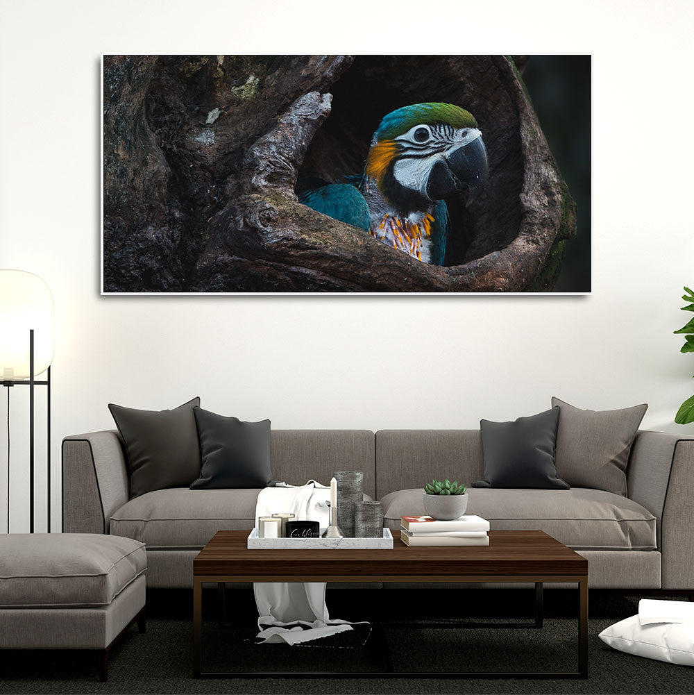 Canvas Wall Painting of Mascaw Parrot in Tree Hole