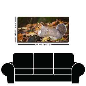 Canvas Wall Painting Squirrel in The Forest