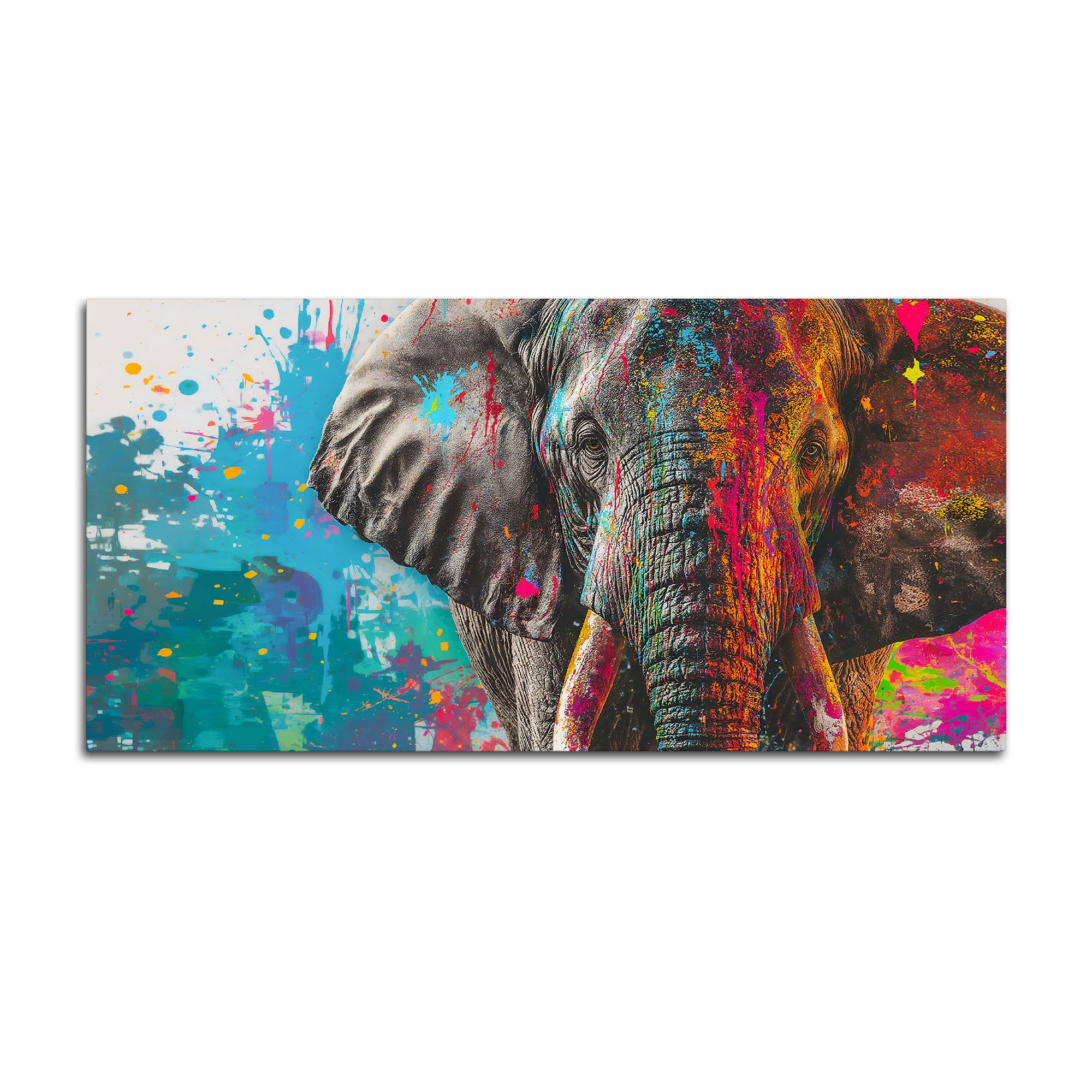 Color Splash Elephant Wall Painting for Luxury Home