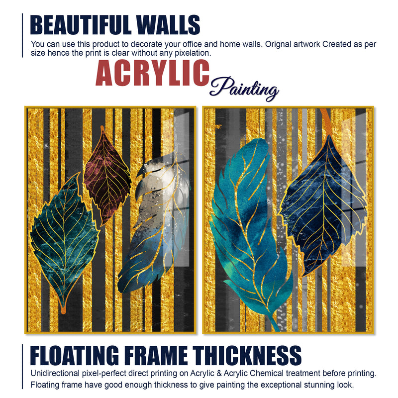Colorful Feathers Premium Acrylic Art Floating Wall Painting Set of 2