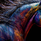 Colorful Horse Floating Frame Crystal Wall Painting