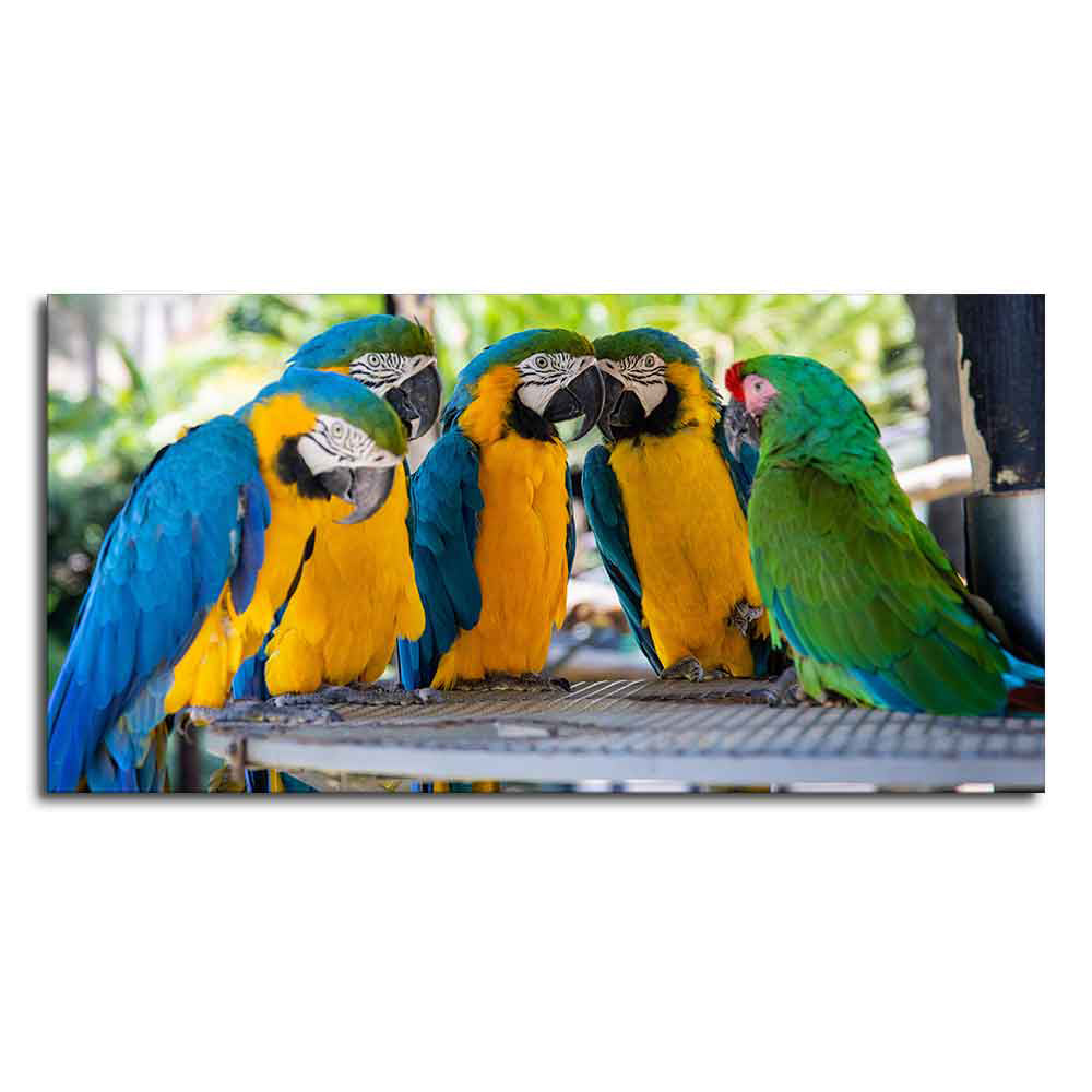 Colorful Mascaw Parrots Canvas Wall Painting