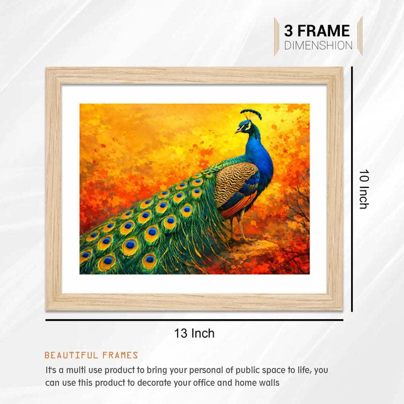 Colorful Nature Gallery Wall Art Frame Set of 6