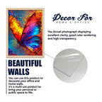 Colorful Nature Gallery Wall Art Frame Set of 6