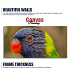 Colorful Parrot Premium Wall Painting