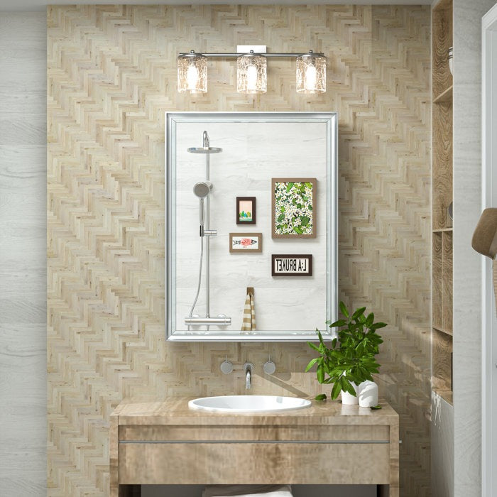 Cyrille Modern Recessed or Surface Mount Silver Mirror Cabinet