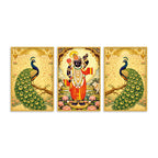 Divine Shrinath Ji and Peacock Canvas Wall Painting Set of Three