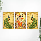 Divine Shrinath Ji and Peacock Canvas Wall Painting Set of Three
