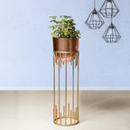 Dripping Luxury Metal Gold Stand & Ross Gold Pot - Large Size Planter