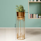 Dripping Luxury Metal Golden Finish - Large Size Planter