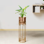 Dripping Luxury Metal Gold Stand & Ross Gold Pot - Medium Size Planter