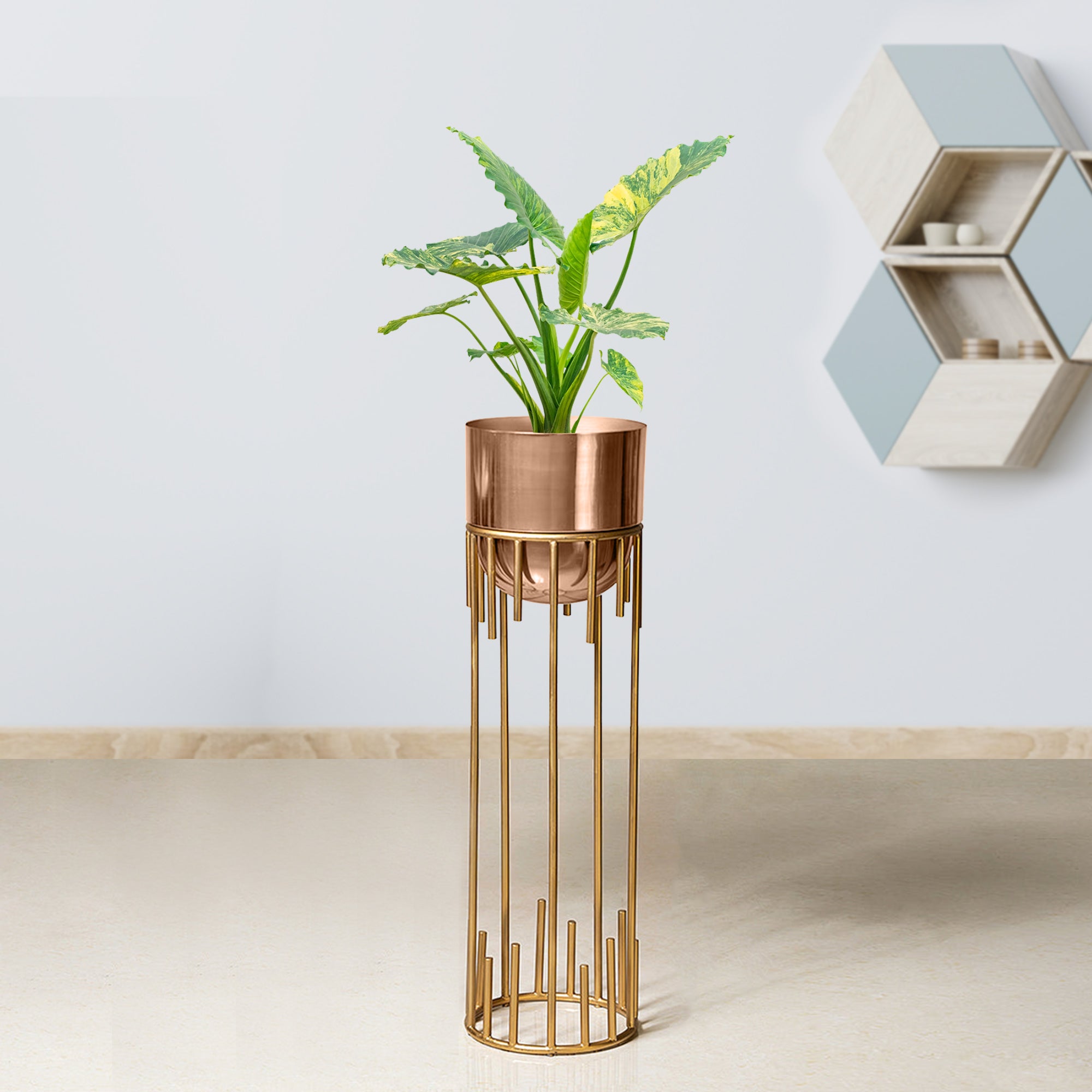 Dripping Luxury Metal Gold Stand & Ross Gold Pot - Medium Size Planter