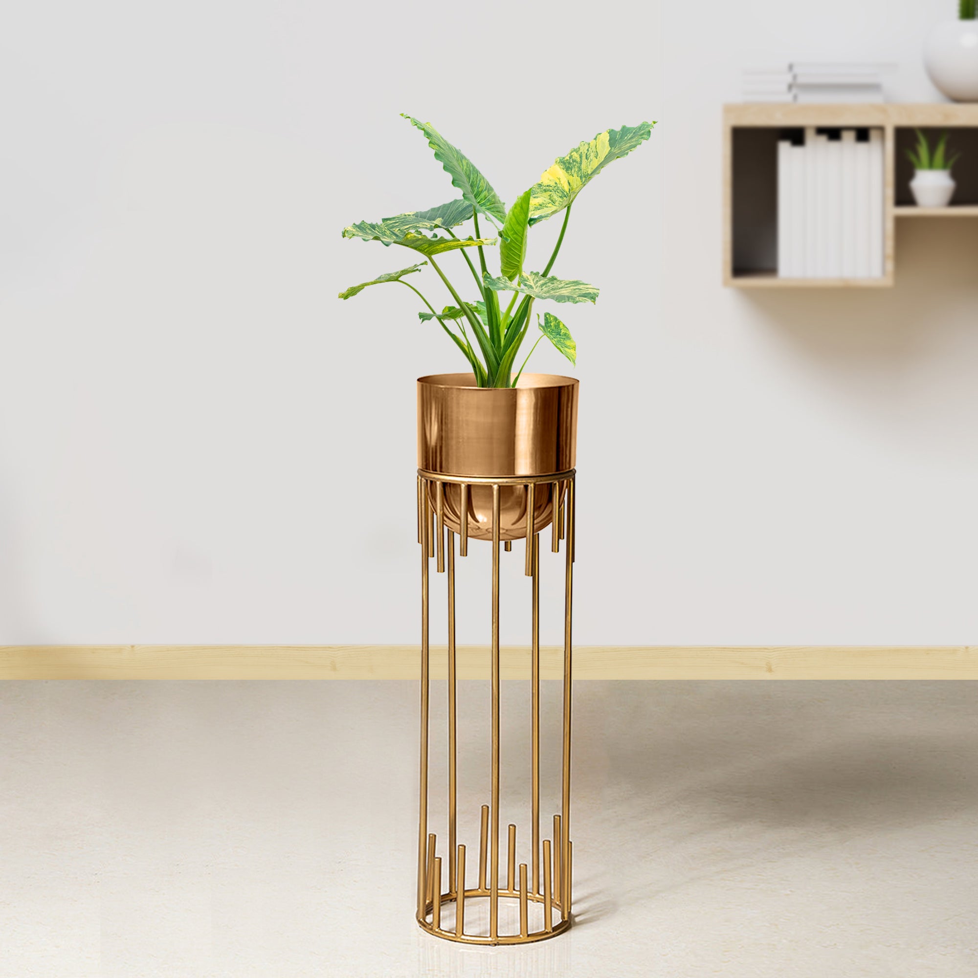 Dripping Luxury Metal Golden Finish - Medium Size Planter