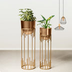 Dripping Luxury Metal Golden Finish Planters Set of 2