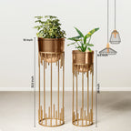 Dripping Luxury Metal Golden Finish Planters Set of 2